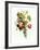 Bouquet of Rose, Lilac and Auricula-Jean Louis Prevost-Framed Giclee Print