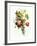 Bouquet of Rose, Lilac and Auricula-Jean Louis Prevost-Framed Giclee Print