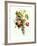 Bouquet of Rose, Lilac and Auricula-Jean Louis Prevost-Framed Giclee Print