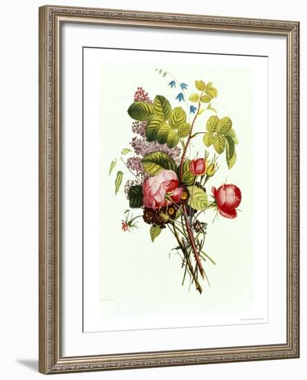 Bouquet of Rose, Lilac and Auricula-Jean Louis Prevost-Framed Giclee Print