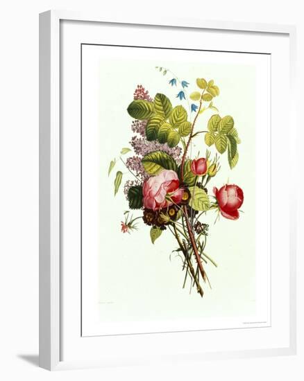 Bouquet of Rose, Lilac and Auricula-Jean Louis Prevost-Framed Giclee Print