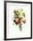 Bouquet of Rose, Lilac and Auricula-Jean Louis Prevost-Framed Giclee Print