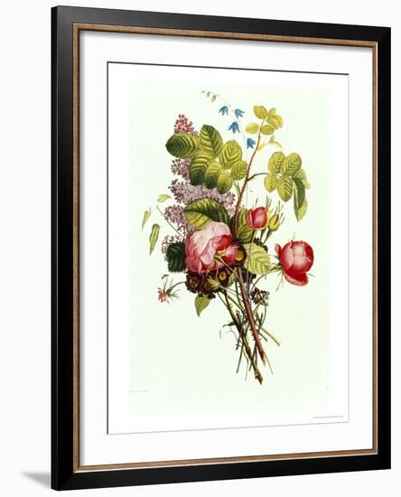 Bouquet of Rose, Lilac and Auricula-Jean Louis Prevost-Framed Giclee Print