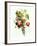 Bouquet of Rose, Lilac and Auricula-Jean Louis Prevost-Framed Giclee Print