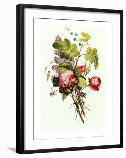 Bouquet of Rose, Lilac and Auricula-Jean Louis Prevost-Framed Giclee Print