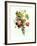 Bouquet of Rose, Lilac and Auricula-Jean Louis Prevost-Framed Giclee Print