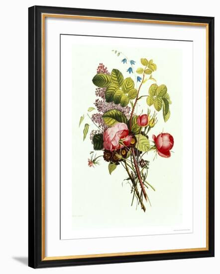 Bouquet of Rose, Lilac and Auricula-Jean Louis Prevost-Framed Giclee Print