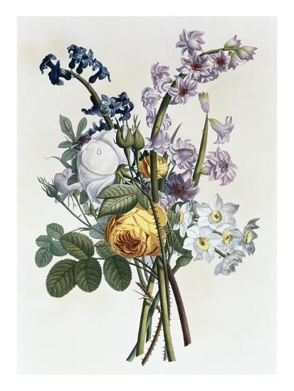 'Bouquet of Rose, Narcissus and Hyacinth' Giclee Print - Jean Louis ...