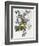 Bouquet of Rose, Narcissus and Hyacinth-Jean Louis Prevost-Framed Giclee Print