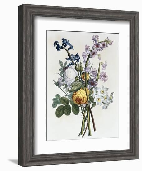 Bouquet of Rose, Narcissus and Hyacinth-Jean Louis Prevost-Framed Giclee Print