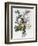 Bouquet of Rose, Narcissus and Hyacinth-Jean Louis Prevost-Framed Giclee Print