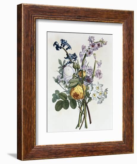 Bouquet of Rose, Narcissus and Hyacinth-Jean Louis Prevost-Framed Giclee Print