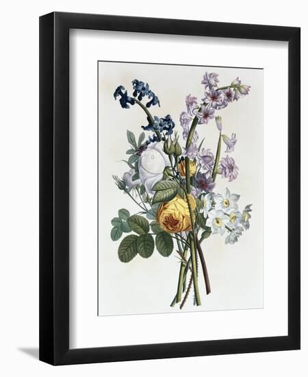 Bouquet of Rose, Narcissus and Hyacinth-Jean Louis Prevost-Framed Giclee Print