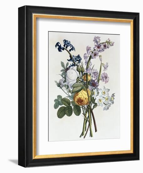 Bouquet of Rose, Narcissus and Hyacinth-Jean Louis Prevost-Framed Giclee Print