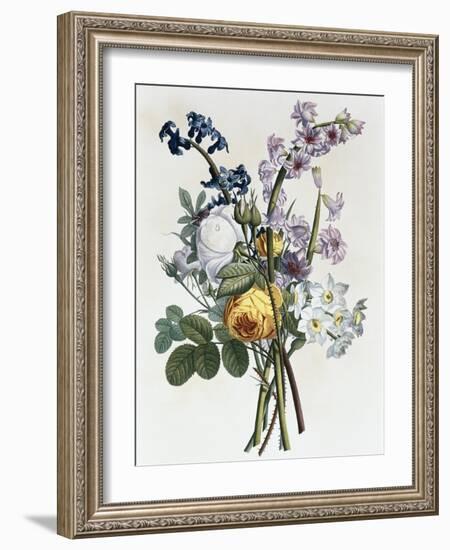 Bouquet of Rose, Narcissus and Hyacinth-Jean Louis Prevost-Framed Giclee Print