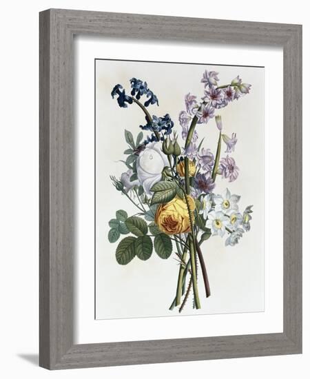 Bouquet of Rose, Narcissus and Hyacinth-Jean Louis Prevost-Framed Giclee Print