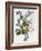 Bouquet of Rose, Narcissus and Hyacinth-Jean Louis Prevost-Framed Giclee Print