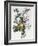 Bouquet of Rose, Narcissus and Hyacinth-Jean Louis Prevost-Framed Giclee Print