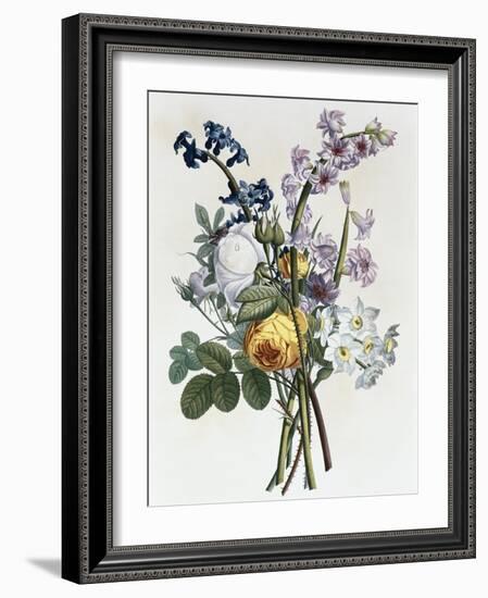 Bouquet of Rose, Narcissus and Hyacinth-Jean Louis Prevost-Framed Giclee Print