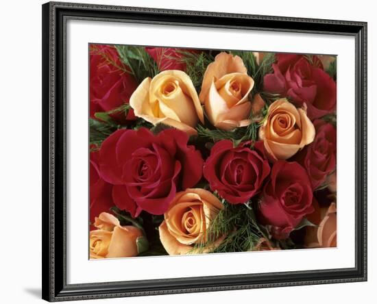 Bouquet of Roses with Light Pink and Read Blossoms-null-Framed Photographic Print