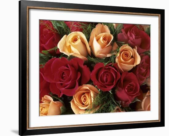 Bouquet of Roses with Light Pink and Read Blossoms-null-Framed Photographic Print