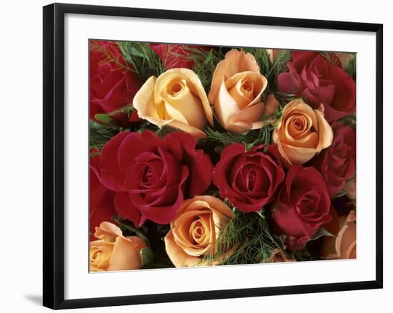 Bouquet of Roses with Light Pink and Read Blossoms-null-Framed Photographic Print