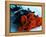 Bouquet of Roses-Colin Anderson-Framed Premier Image Canvas