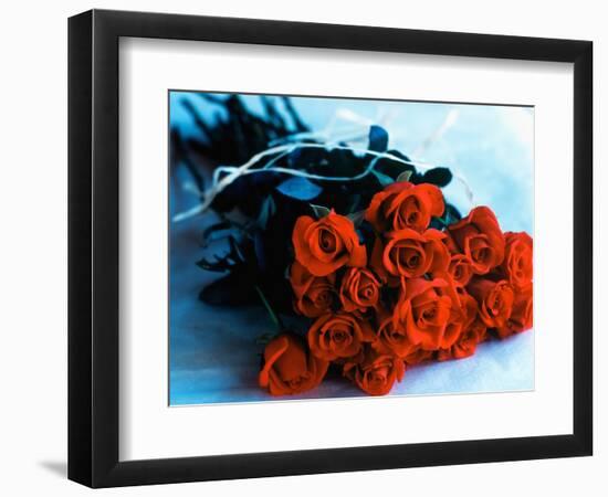 Bouquet of Roses-Colin Anderson-Framed Photographic Print