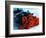 Bouquet of Roses-Colin Anderson-Framed Photographic Print