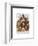 Bouquet of Skulls-Fab Funky-Framed Art Print