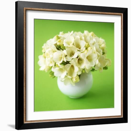 Bouquet of White Freesias in Spherical Vase-Michael Paul-Framed Photographic Print