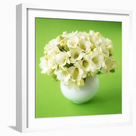 Bouquet of White Freesias in Spherical Vase-Michael Paul-Framed Photographic Print