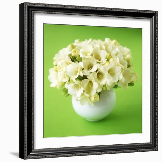 Bouquet of White Freesias in Spherical Vase-Michael Paul-Framed Photographic Print