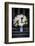 Bouquet on Bench, United Kingdom, Europe-John Alexander-Framed Photographic Print