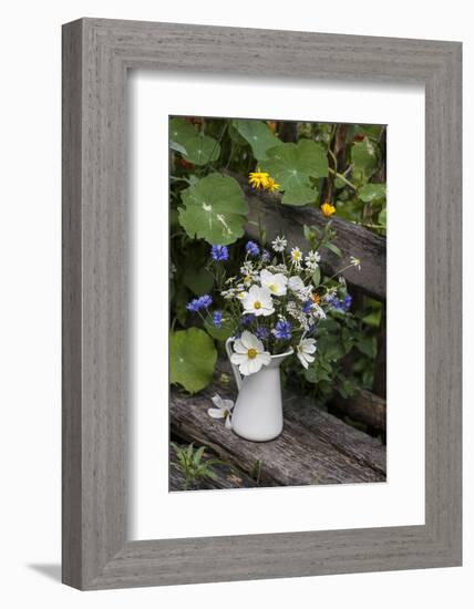 Bouquet, Summer Flowers, Bank-Andrea Haase-Framed Photographic Print