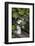 Bouquet, Summer Flowers, Bank-Andrea Haase-Framed Photographic Print