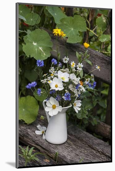 Bouquet, Summer Flowers, Bank-Andrea Haase-Mounted Photographic Print