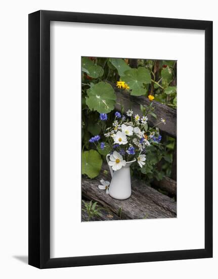 Bouquet, Summer Flowers, Bank-Andrea Haase-Framed Photographic Print