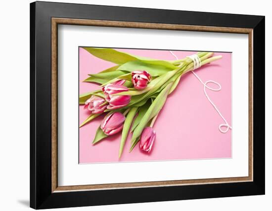 Bouquet, Tulips, Pink, Flowers, Table-Sebastian Scheuerecker-Framed Photographic Print