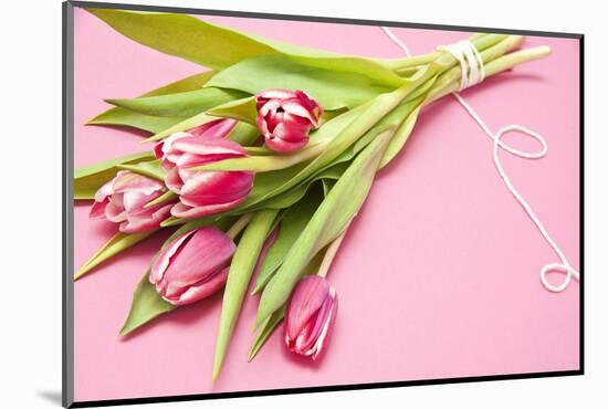 Bouquet, Tulips, Pink, Flowers, Table-Sebastian Scheuerecker-Mounted Photographic Print