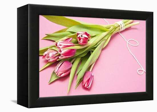 Bouquet, Tulips, Pink, Flowers, Table-Sebastian Scheuerecker-Framed Premier Image Canvas