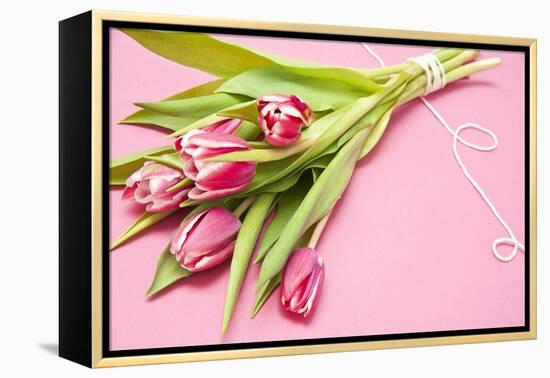 Bouquet, Tulips, Pink, Flowers, Table-Sebastian Scheuerecker-Framed Premier Image Canvas