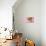 Bouquet, Tulips, Pink, Table-Sebastian Scheuerecker-Premium Photographic Print displayed on a wall