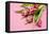 Bouquet, Tulips, Pink, Table-Sebastian Scheuerecker-Framed Premier Image Canvas