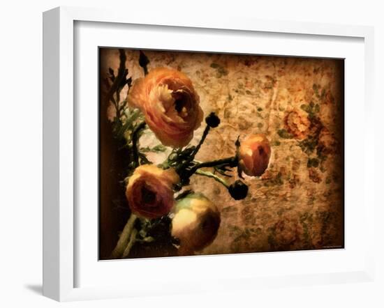 Bouquet-Katherine Sanderson-Framed Photographic Print