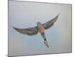 Premium Photographic Print
