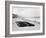 Bournemouth Beach, 1964-Daily Mirror-Framed Photographic Print