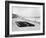 Bournemouth Beach, 1964-Daily Mirror-Framed Photographic Print