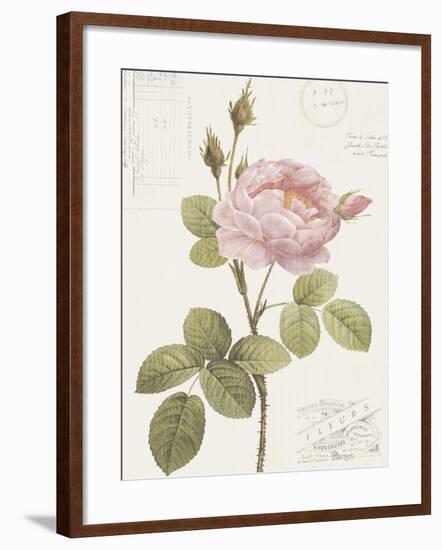 Boutique Fleurs I-Maria Mendez-Framed Giclee Print