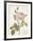 Boutique Fleurs I-Maria Mendez-Framed Giclee Print